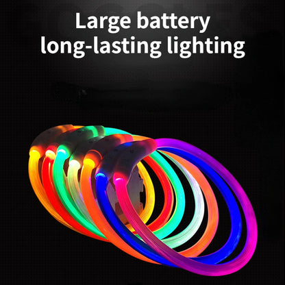 LED Pet Collar with USB Charging for Safety - Smarsty