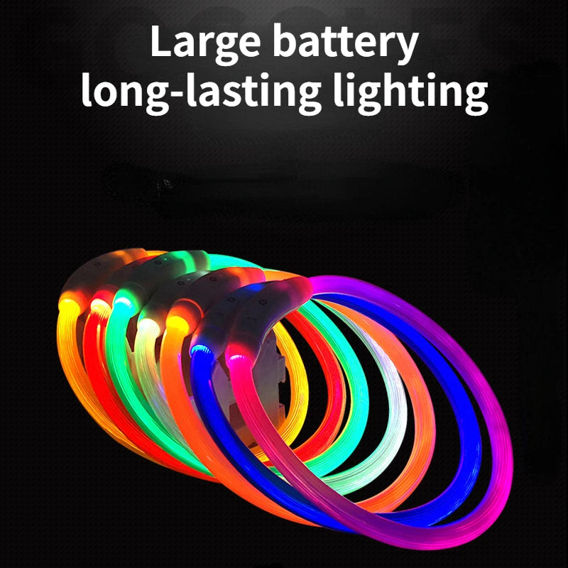 LED Pet Collar with USB Charging for Safety - Smarsty