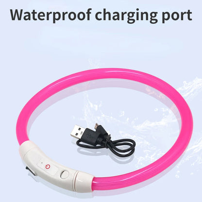 LED Pet Collar with USB Charging for Safety - Smarsty
