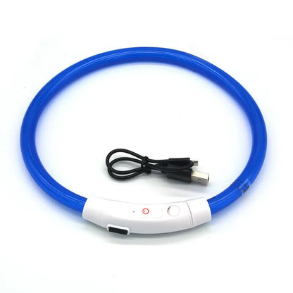 LED Pet Collar with USB Charging for Safety - Smarsty