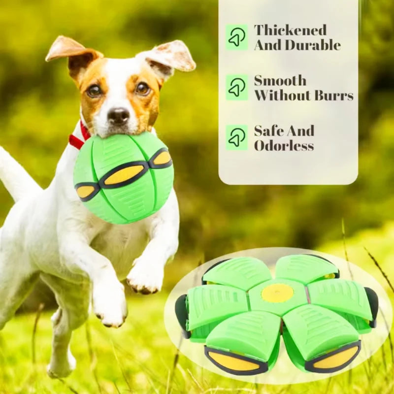 Interactive Chew Flying Saucer Dog Toy for Outdoor Fun - Smarsty