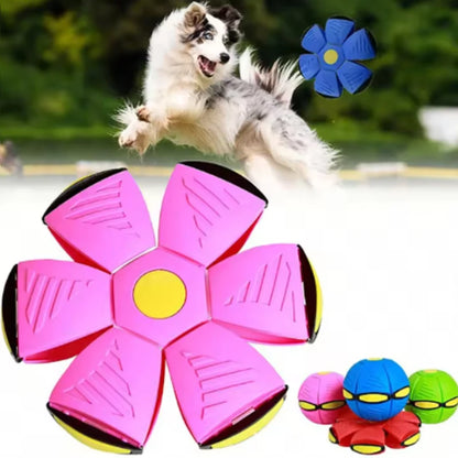 Interactive Chew Flying Saucer Dog Toy for Outdoor Fun - Smarsty