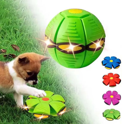 Interactive Chew Flying Saucer Dog Toy for Outdoor Fun - Smarsty