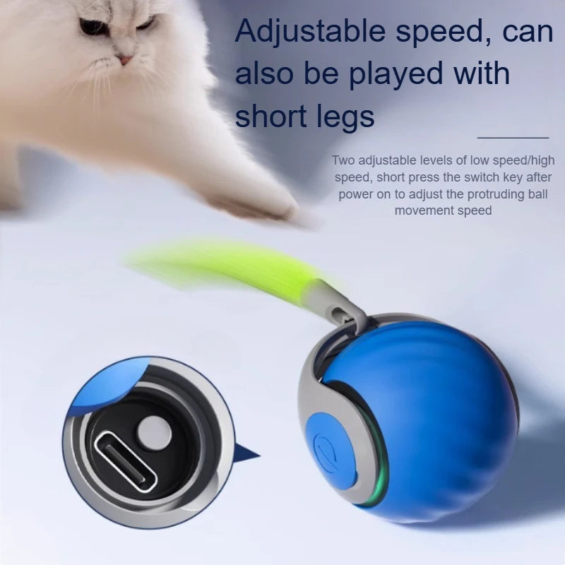 Interactive Rolling Cat Toy with Faux Tail - Smarsty