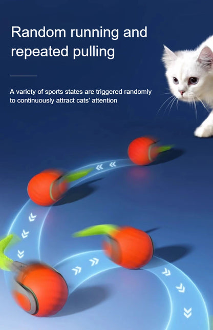 Interactive Rolling Cat Toy with Faux Tail - Smarsty