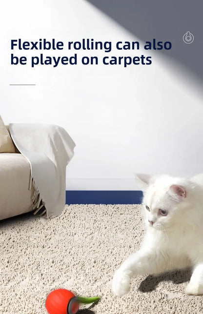 Interactive Rolling Cat Toy with Faux Tail - Smarsty