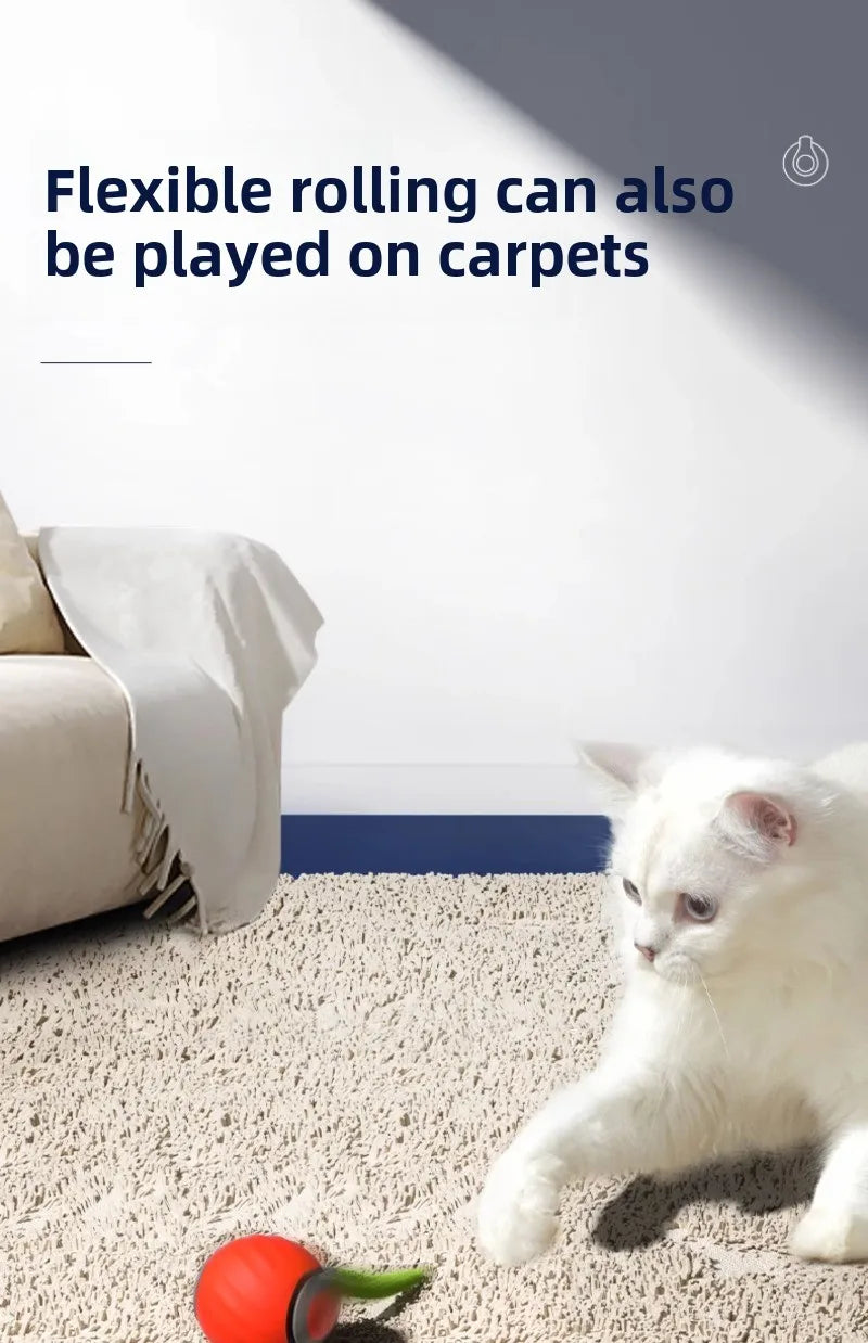 Interactive Rolling Cat Toy with Faux Tail - Smarsty