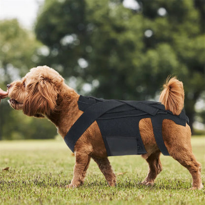 Lion Shaped Pet Carrier Bag for Comfortable Travel - Smarsty