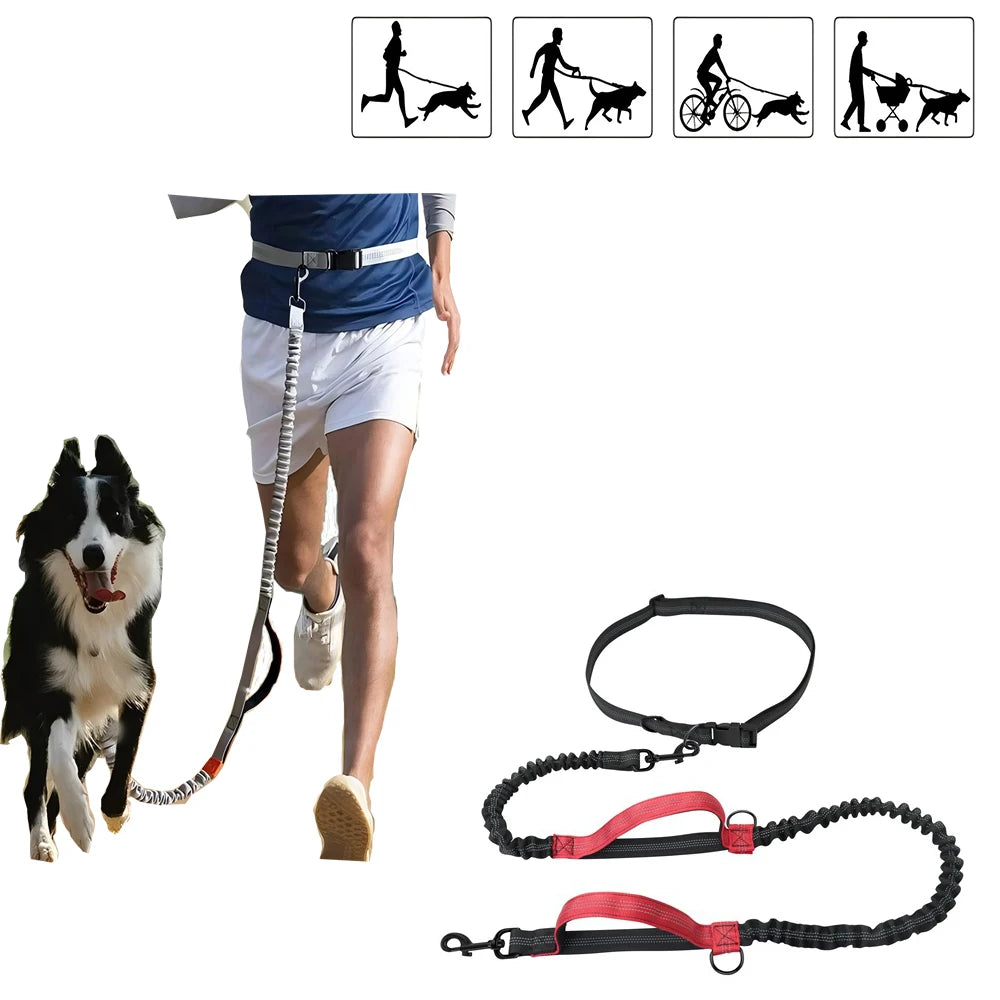 Lion Shaped Pet Carrier Bag for Comfortable Travel - Smarsty