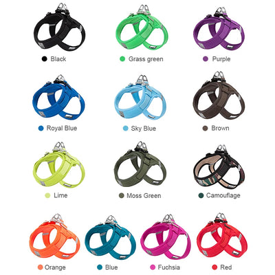 Truelove Breathable Nylon Dog Harness For Training - Smarsty