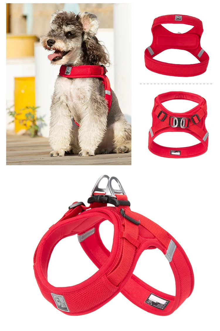 Truelove Breathable Nylon Dog Harness For Training - Smarsty