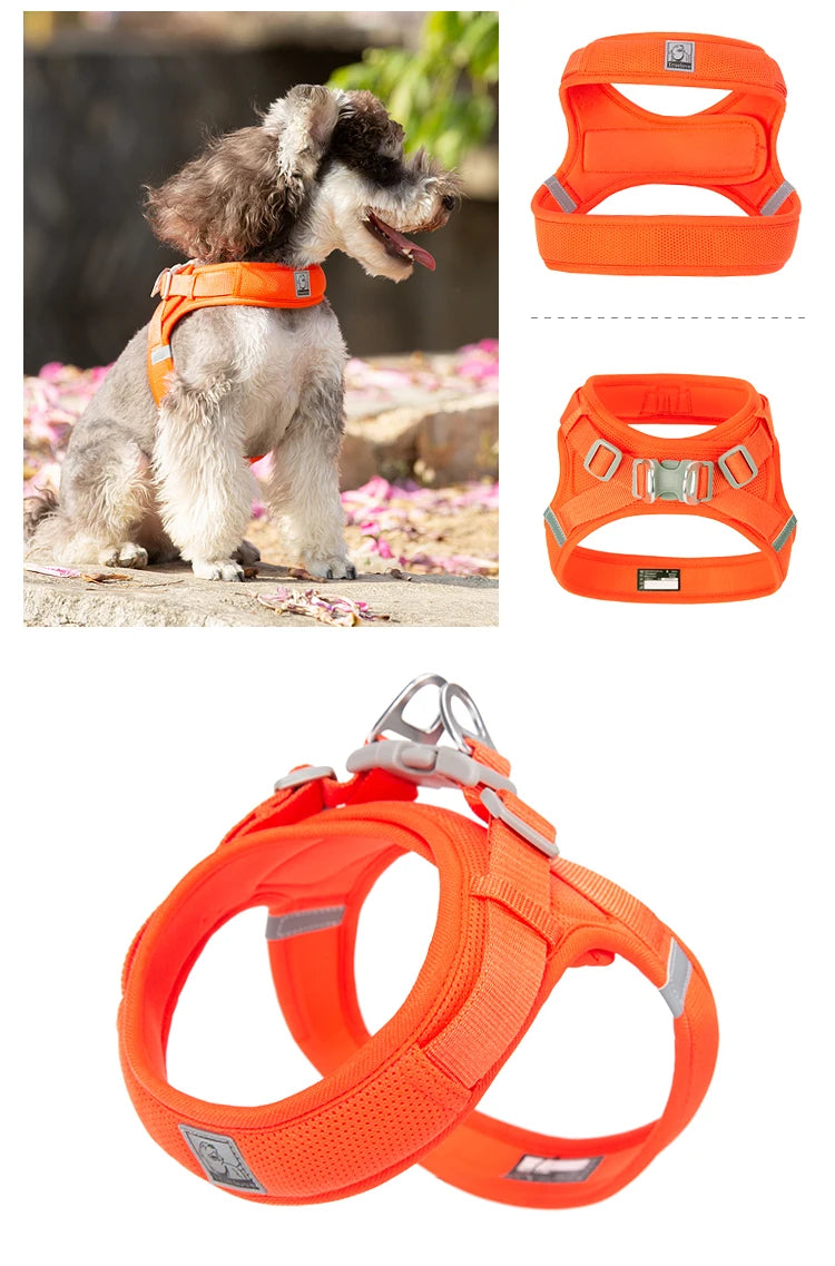 Truelove Breathable Nylon Dog Harness For Training - Smarsty