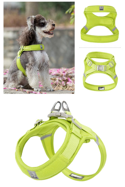 Truelove Breathable Nylon Dog Harness For Training - Smarsty