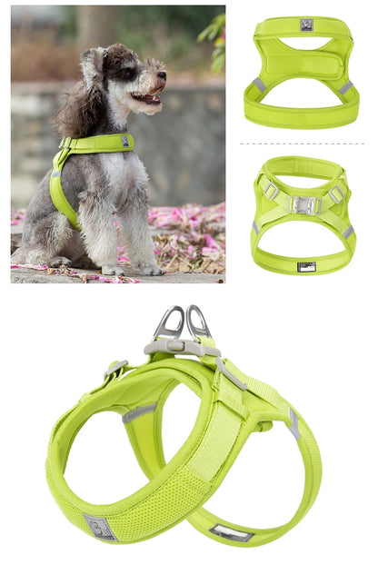 Truelove Breathable Nylon Dog Harness For Training - Smarsty