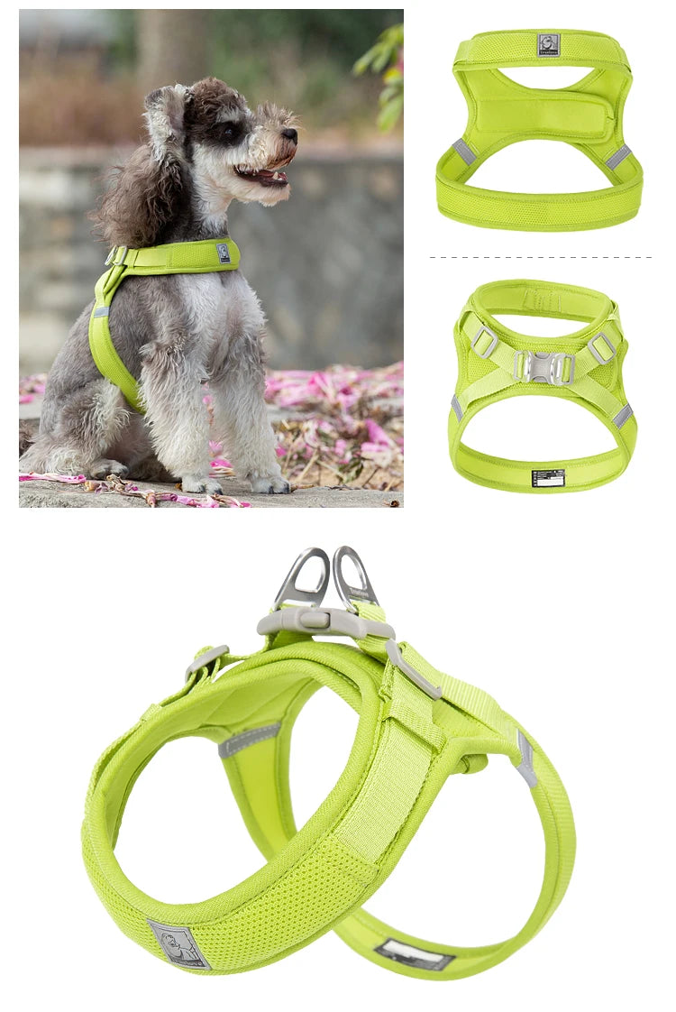 Truelove Breathable Nylon Dog Harness For Training - Smarsty