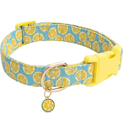 Fruit Pattern Dog Collar with Fun Metal Pendant - Smarsty