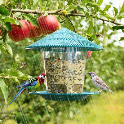 Transparent Plastic Bird Feeder for Wild Birds Hanging Station - Smarsty