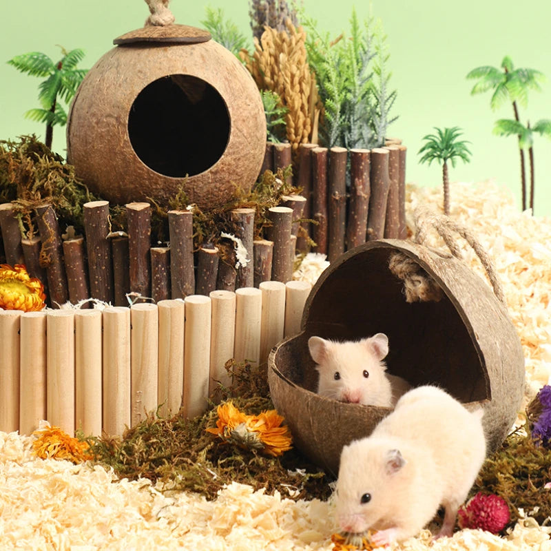 Bite-Resistant Natural Coconut House for Small Pets - Smarsty