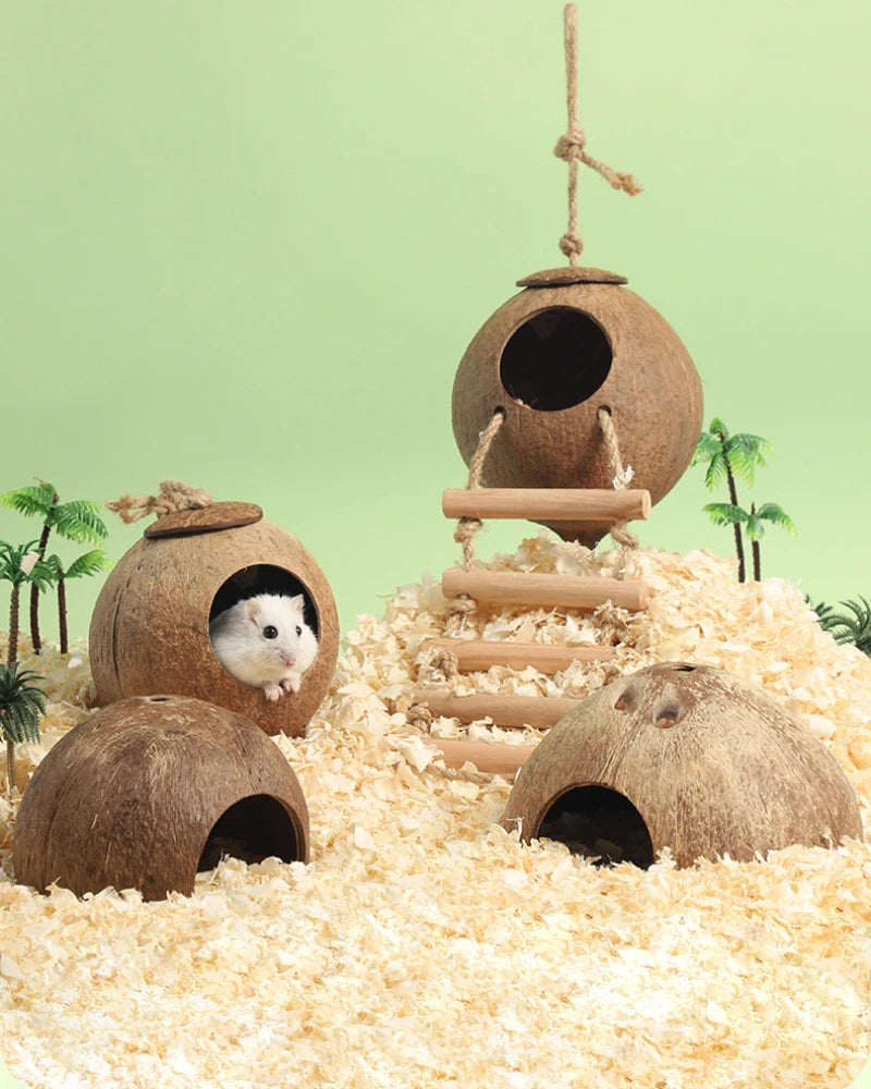 Bite-Resistant Natural Coconut House for Small Pets - Smarsty