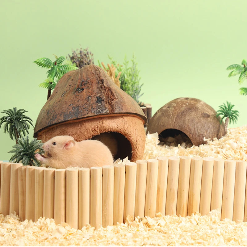Bite-Resistant Natural Coconut House for Small Pets - Smarsty