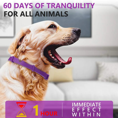 Adjustable Pet Calming Collar for Anxiety Relief - Smarsty