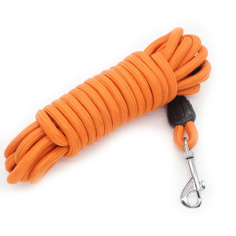 Heavy Duty Nylon Dog Leash for Training - Smarsty