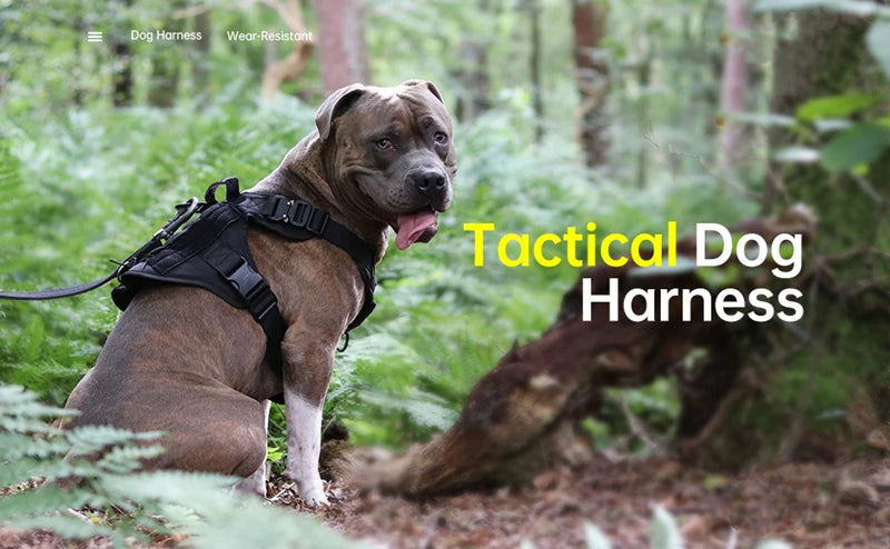 Tactical Dog Harness and Leash Set for All Breeds - Smarsty