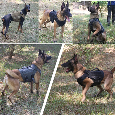 Tactical Dog Harness and Leash Set for All Breeds - Smarsty
