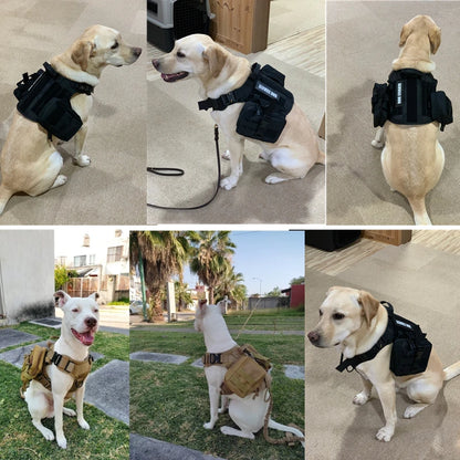 Tactical Dog Harness and Leash Set for All Breeds - Smarsty