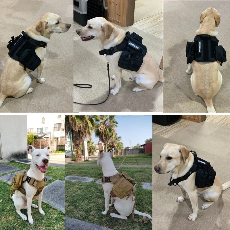 Tactical Dog Harness and Leash Set for All Breeds - Smarsty
