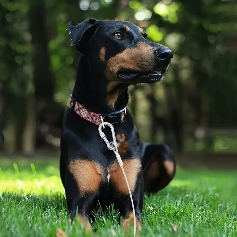 Double-Headed Dog Tie Out Cable Leash for Outdoor Training - Smarsty
