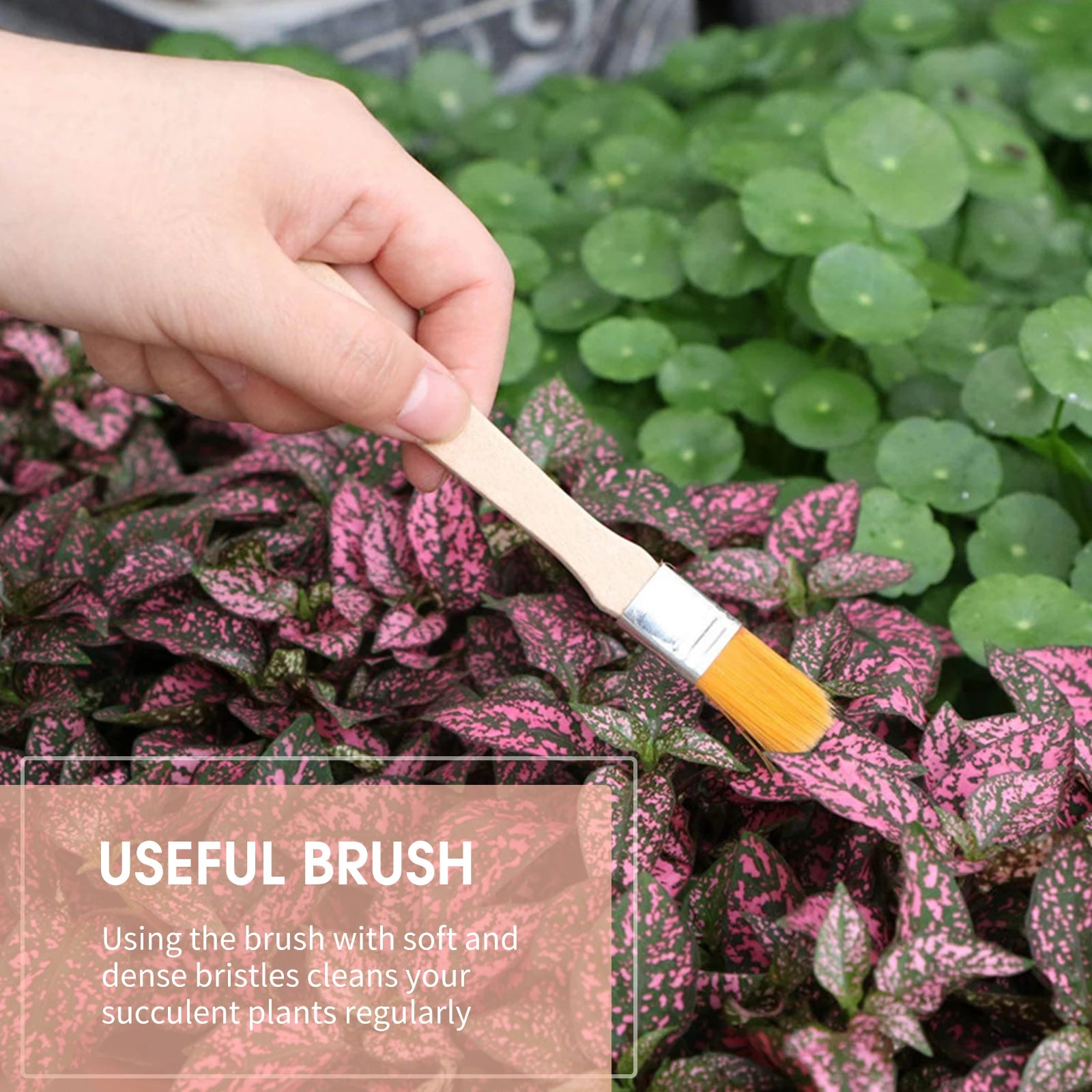 12PCS Garden Planting Tool Set for Easy Transplanting - Smarsty