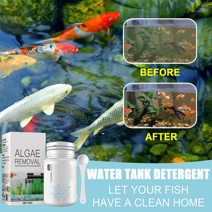 Algae Remover Powder for Clear Fish Tanks - Smarsty