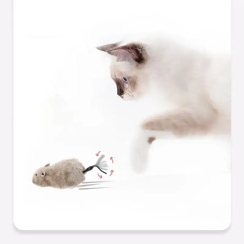 Funny Plush Mouse Toy for Cats and Dogs - Smarsty