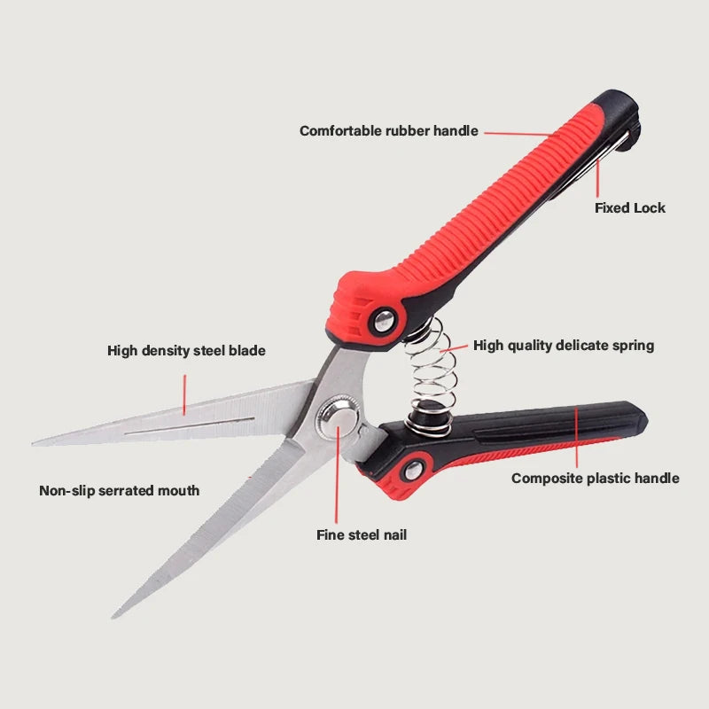 Stainless Steel Pruning Shears for Effortless Trimming - Smarsty
