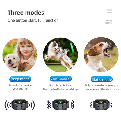 Rechargeable Waterproof Dog Training Collar with Anti Barking Feature - Smarsty
