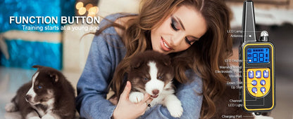 Dog Training Collar with Remote Waterproof Feature - Smarsty