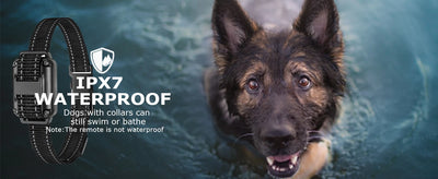 Dog Training Collar with Remote Waterproof Feature - Smarsty