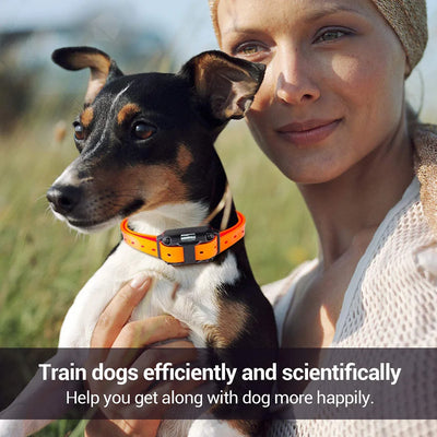 Rechargeable Electric Dog Training Collar with Detachable Bark Control - Smarsty