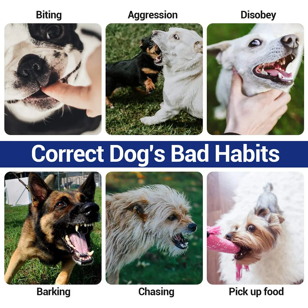 Rechargeable Electric Dog Training Collar with Detachable Bark Control - Smarsty
