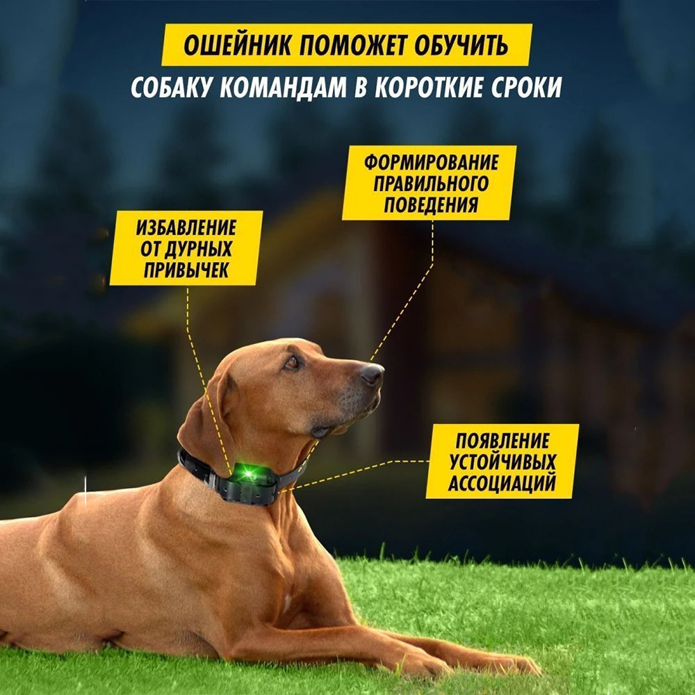 Dog Training Shock Collar with Remote Waterproof and Rechargeable - Smarsty