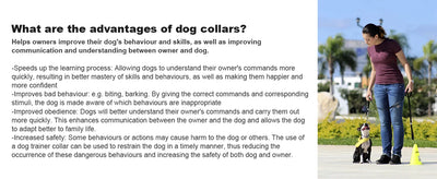 Dog Training Shock Collar with Remote Waterproof and Rechargeable - Smarsty