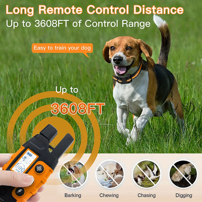 Electric Dog Training Collar With Remote Waterproof - Smarsty