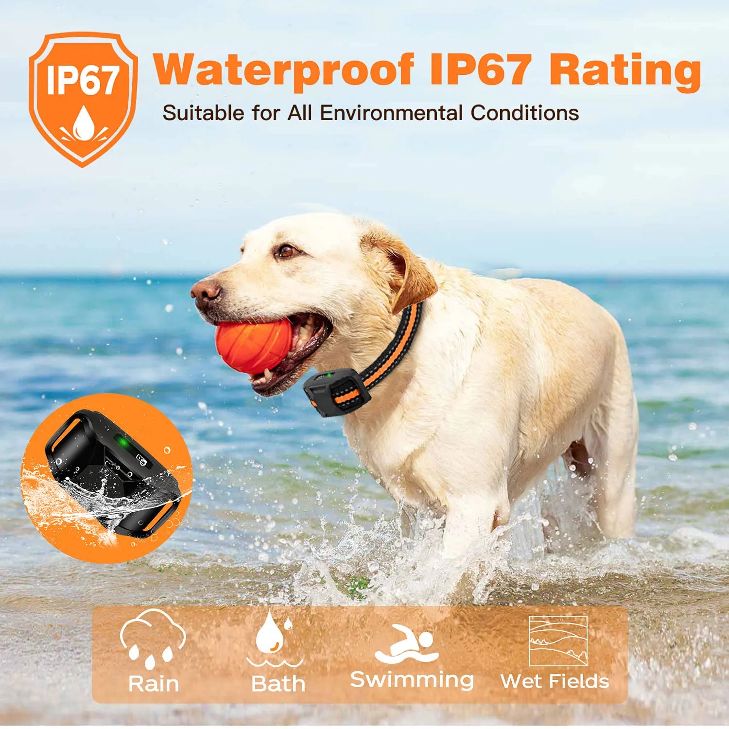 Electric Dog Training Collar With Remote Waterproof - Smarsty
