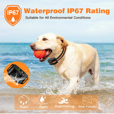 Electric Dog Training Collar With Remote Waterproof - Smarsty