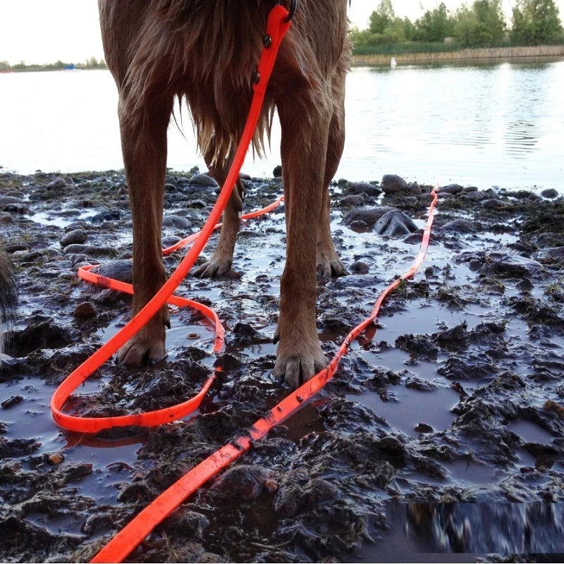 Waterproof PVC Dog Leash for Easy Cleaning and Training - Smarsty