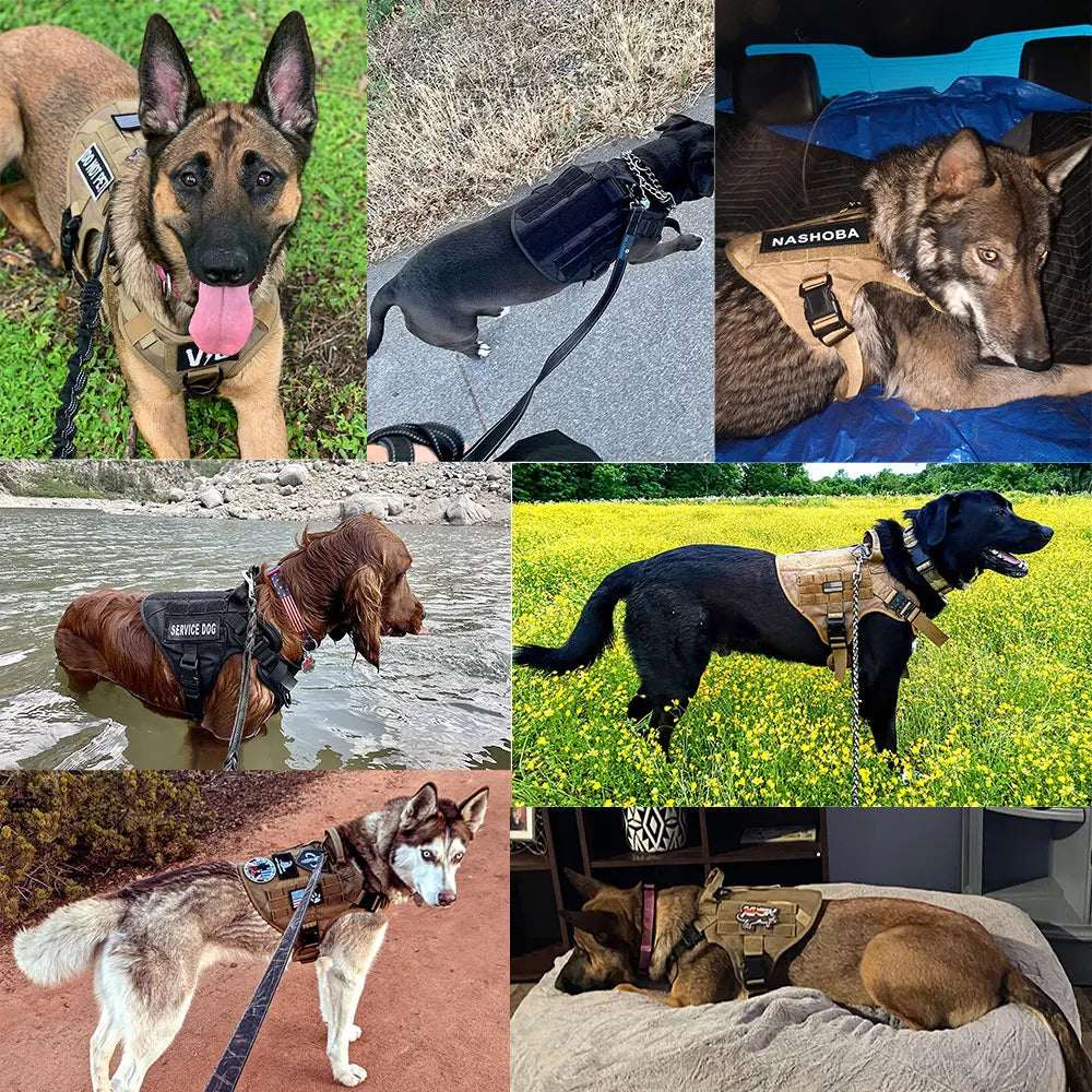Large Dog Harness with Molle Pouches for Training - Smarsty