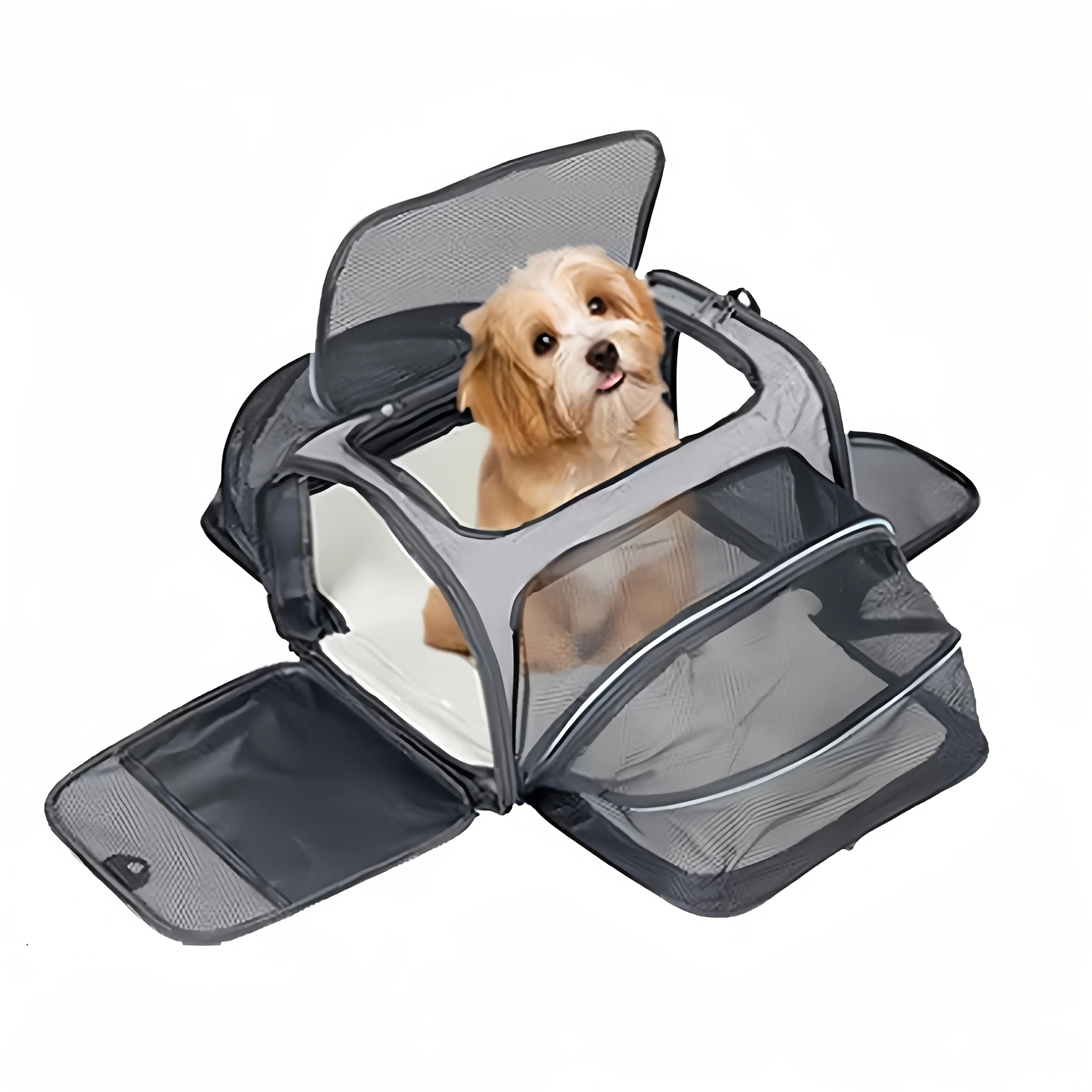 Foldable Pet Carrier Bag for Small Dogs and Cats - Smarsty