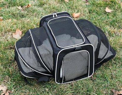Foldable Pet Carrier Bag for Small Dogs and Cats - Smarsty