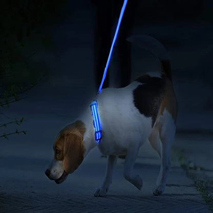 USB Rechargeable LED Dog Collar with Adjustable Anti-Lost Feature - Smarsty